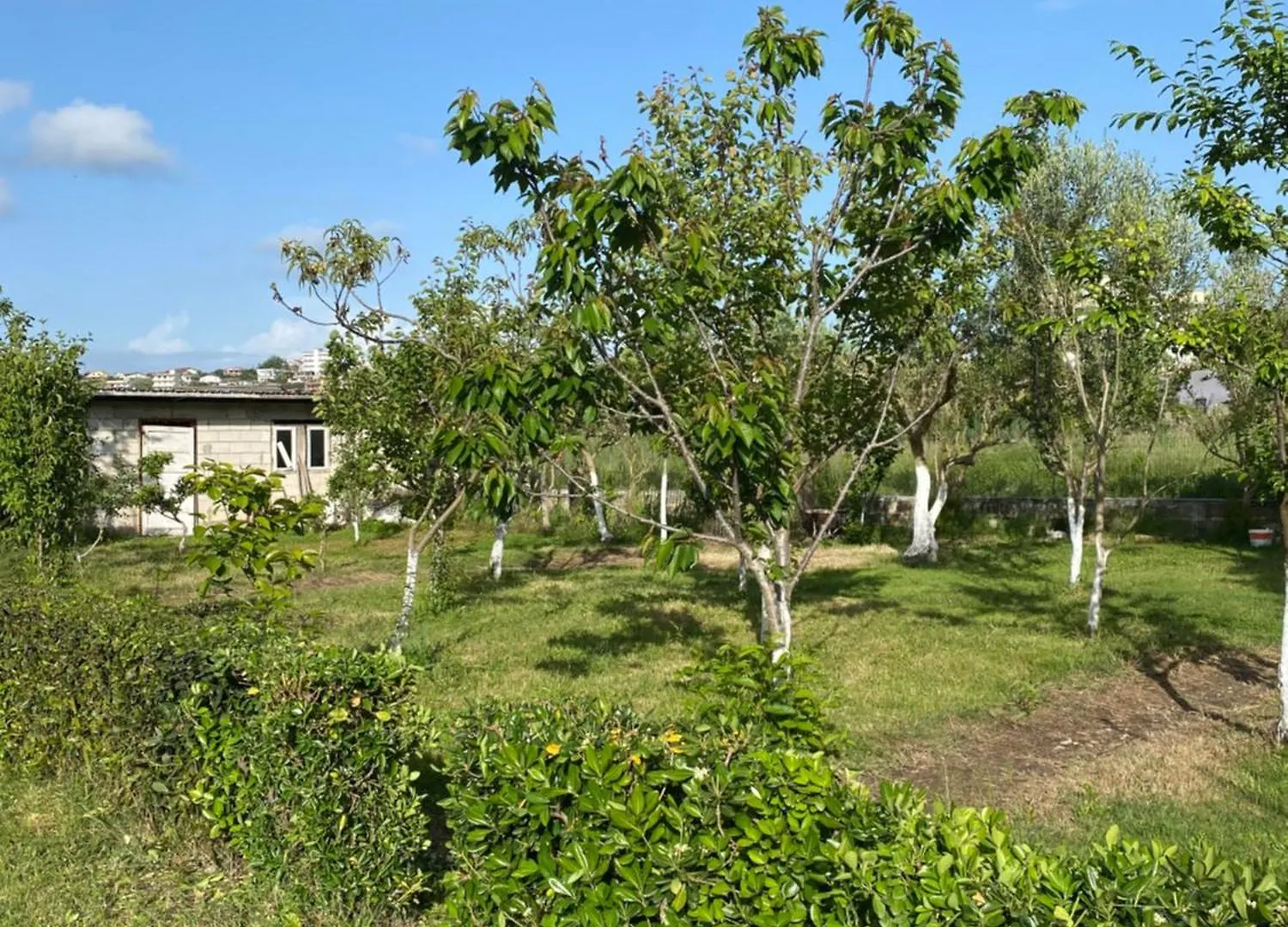 Villa Rubin-Cosy Villa With A Garden & Patio Durres