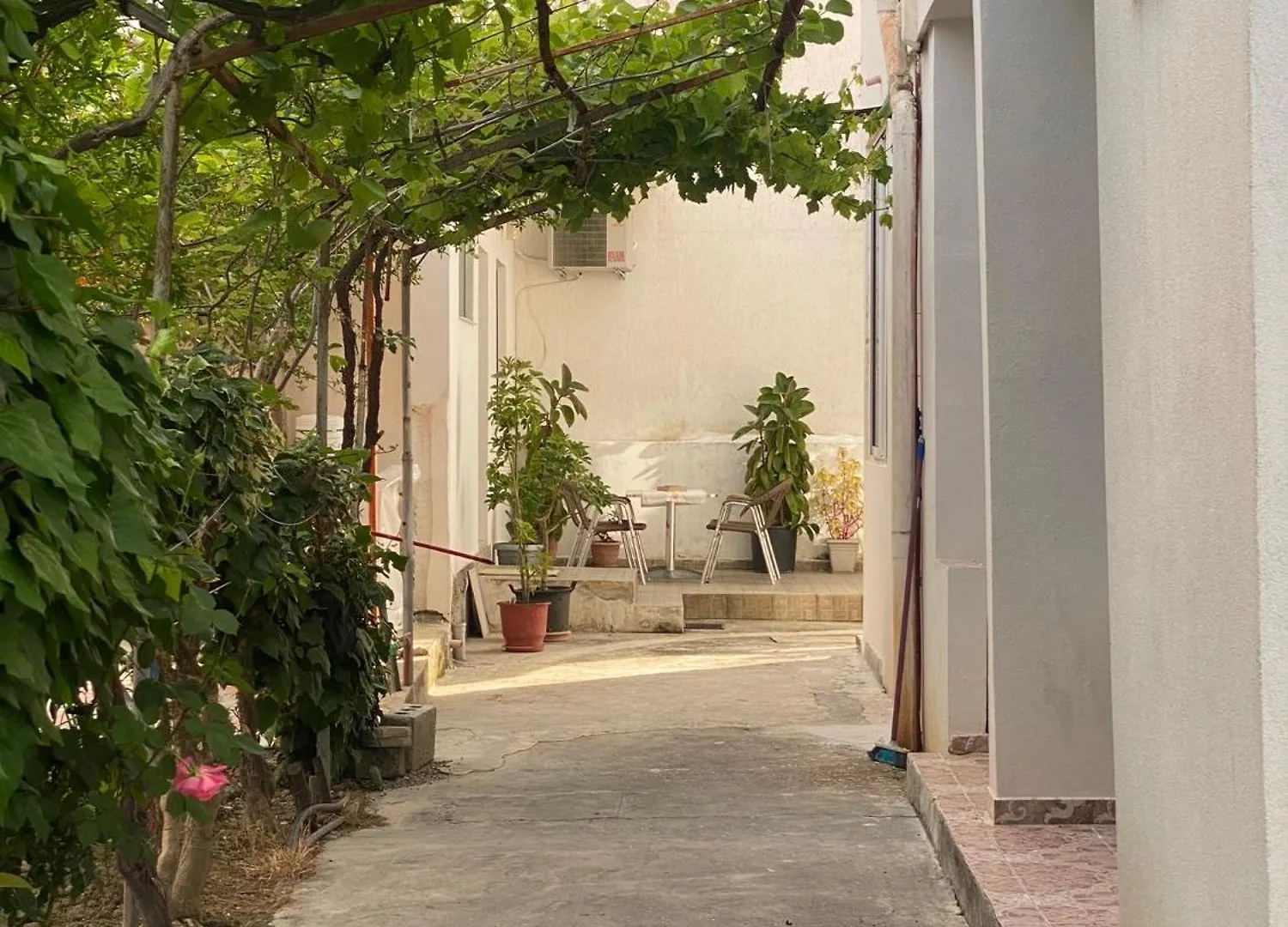 Villa Rubin-Cosy Villa With A Garden & Patio Durres