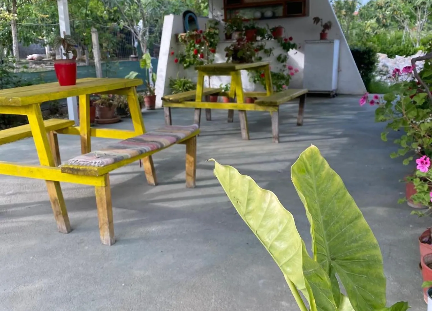 Villa Rubin-Cosy Villa With A Garden & Patio Durres